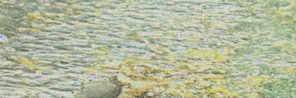 Boundless Landscape (4/6)