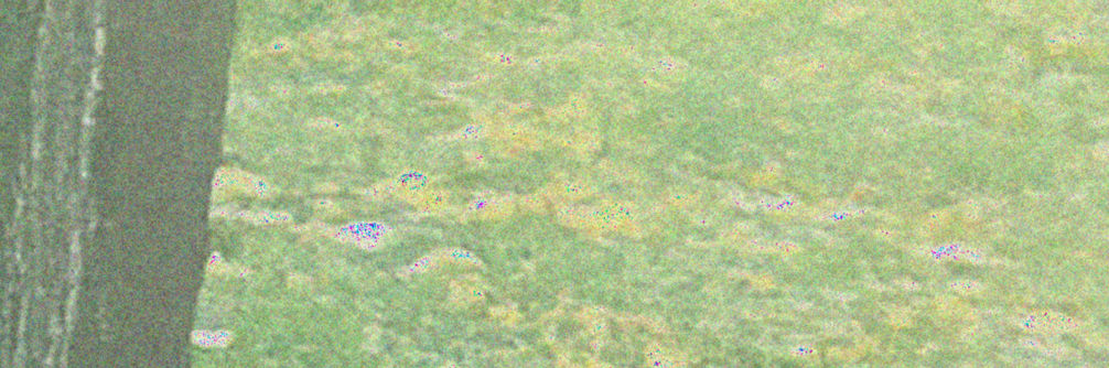 Boundless Landscape (5/6)