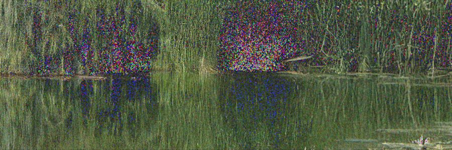 Boundless Landscape