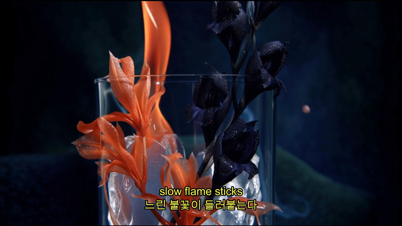 Flower Flame Wind (4/8)