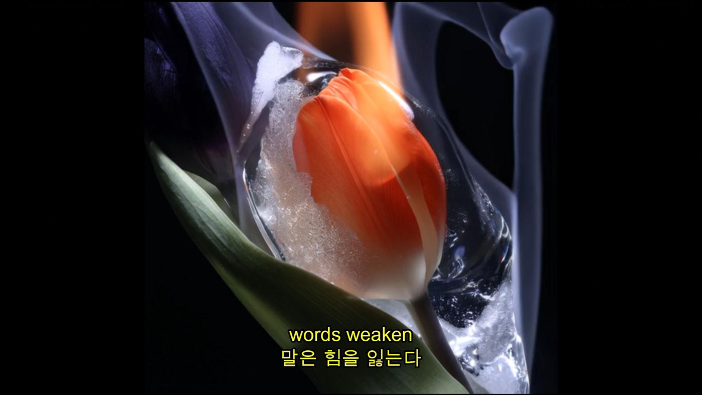 Flower Flame Wind (7/8)