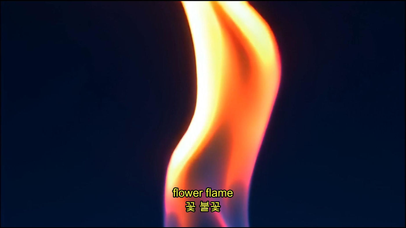 Flower Flame Wind (8/8)