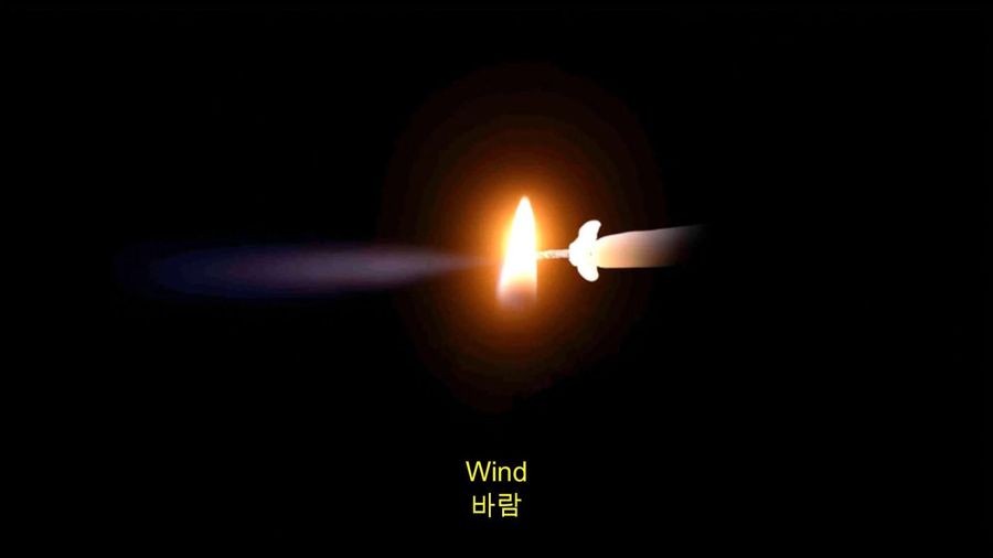 Flower Flame Wind