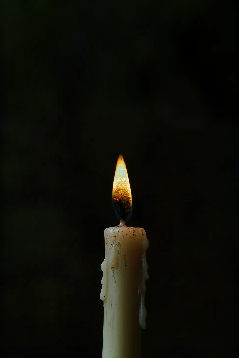One and Nine Candles I–IX (5/8)