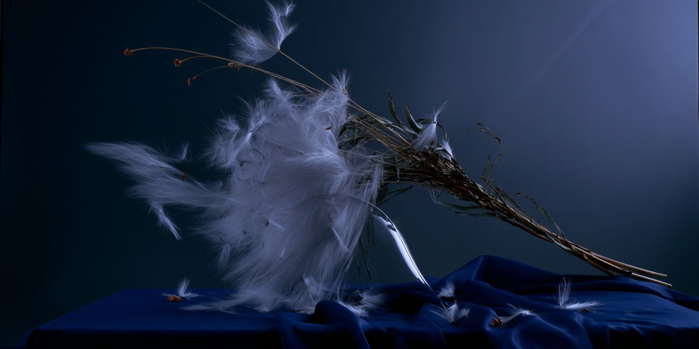 Sick and Dreaming (2/8)
