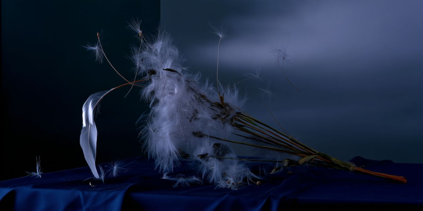 Sick and Dreaming (6/8)
